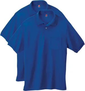 Hanes mens Short-sleeve Jersey Pocket (Pack of 2) polo shirts, Deep Royal, Medium US